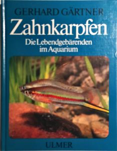 Zahnkarpfen. Die Lebendgebärenden im Aquarium