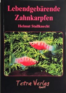 Lebendgebärende Zahnkarpfen Fische für Anfänger und Experten