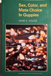 Sex, Color, and Mate Choice In Guppies