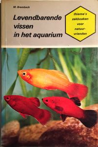 Levendbarende Vissen in het Aquarium