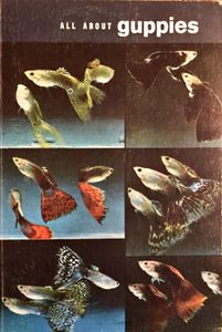 All About Guppies