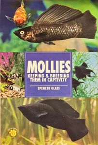 Mollies. Keeping & Breeding Them in Captivity
