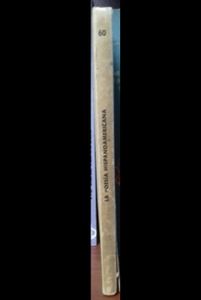 La poesía hispanoamericana