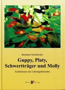Guppy, Platy, Schwertträger und Molly. Zuchtformen der Lebendgebärenden