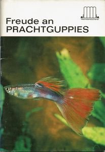 Freude an Prachtguppies