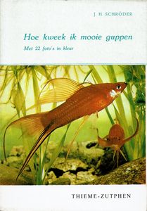 Hoe kweek ik mooie guppen