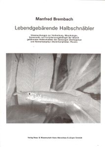 Lebendgebärende Halbschnäbler