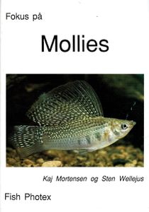 Fokus på Mollies