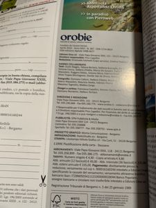 Orobie (n. 307)