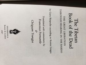 The Tibetan Book of The Dead: The Great Liberation through Hearing in the Bardo