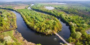 Tisza