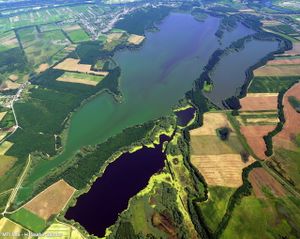 Tisza-tó