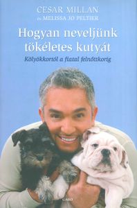 Hogyan neveljünk tökéletes kutyát