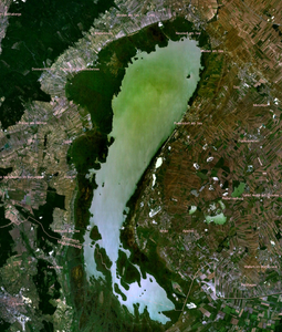 Neusiedler See
