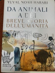 Da Animali A Dei. Breve Storia Dell'Umanità