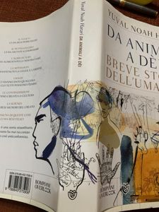 Da Animali A Dei. Breve Storia Dell'Umanità