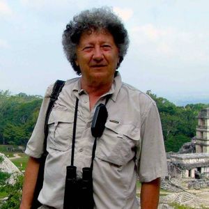 Massimo Pandolfi