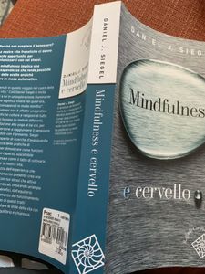 Mindfulness E Cervello