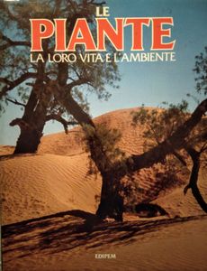 Le Piante la loro vita e l'ambiente