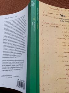 QED. Fenomenologia Della Dimostrazione