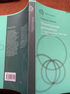 Divertimento Geometrico. Le Origini Geometriche Della Logica Da Euclide A Hilbert