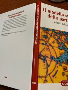 Il Modello Standard Delle Particelle. I Pilastri Della Materia