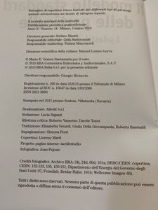 Il Modello Standard Delle Particelle. I Pilastri Della Materia