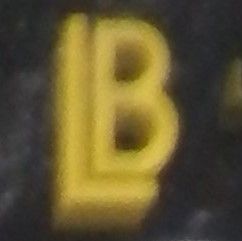 Leisure Books