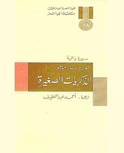 الذكريات الصغيرة