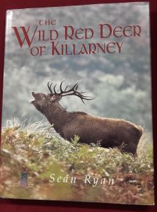 The Wild Red Deer of Killarney