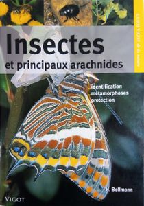 Insectes et principaux arachnides