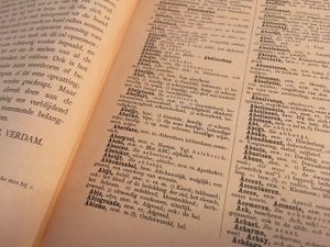 Middelnederlandsch Handwoordenboek