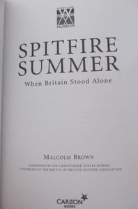 Spitfire Summer: When Britain Stood Alone