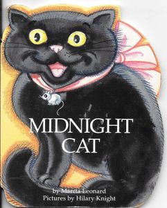 Midnight Cat