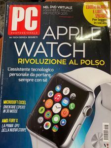 PC Professionale (n.293)