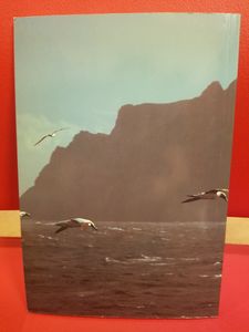 A St. Kilda Handbook