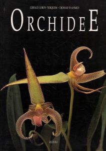 Orchidee