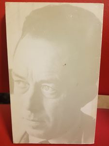 De Vreemdeling