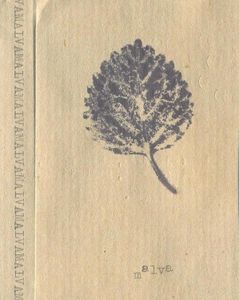 Malva