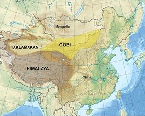 Gobi Desert