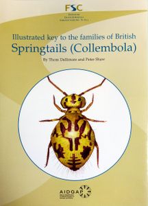 Illustrated Key to the Families of British Springtails (Collembola)