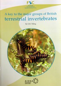 A Key to the Major Groups of British Terrestrial Invertebrates