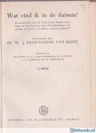 Wat vind ik in de Duinen?