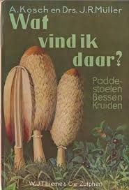 Wat Vind Ik Daar? Paddestoelen Bessen Kruiden