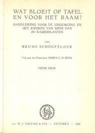 Wat Bloeit Op Tafel En Voor Het Raam?