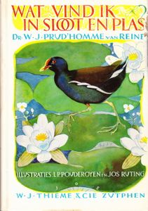 Wat Vind Ik In Sloot En Plas?