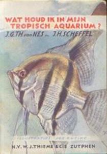 Wat Houd Ik In Mijn Tropisch Aquarium?