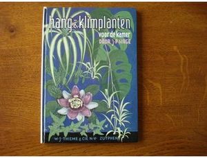 Hang- En Klimplanten Voor De Kamer