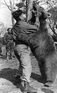 Wojtek 