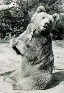 Wojtek 